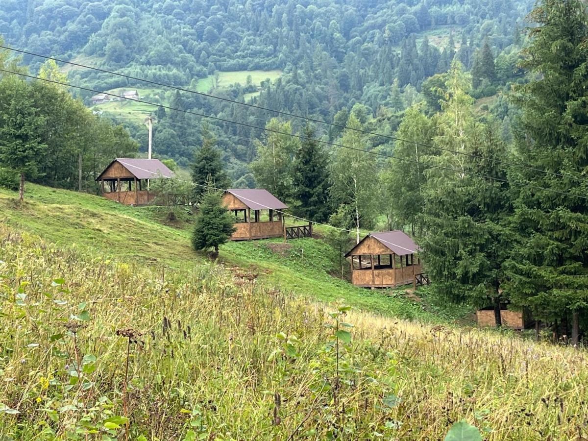 Терем Славское Экстерьер фото